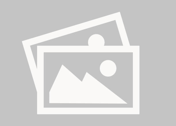 MonoWindow publication thumbnail